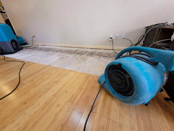 Reliable Basement Flood Cleanup contractor in Cooksville, MD by Hirex Water Damage