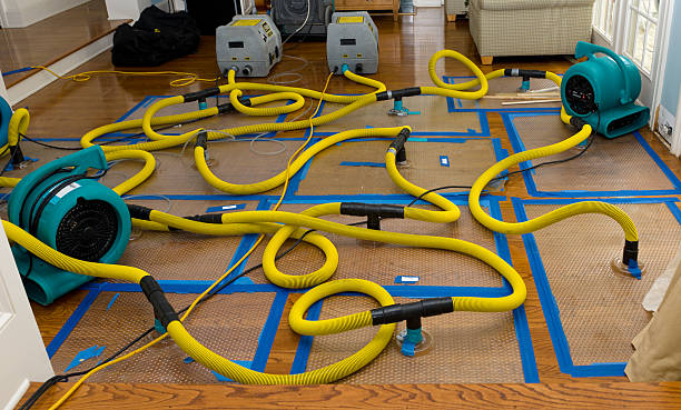 Professional Basement Flood Cleanup technician working in Cooksville, MD